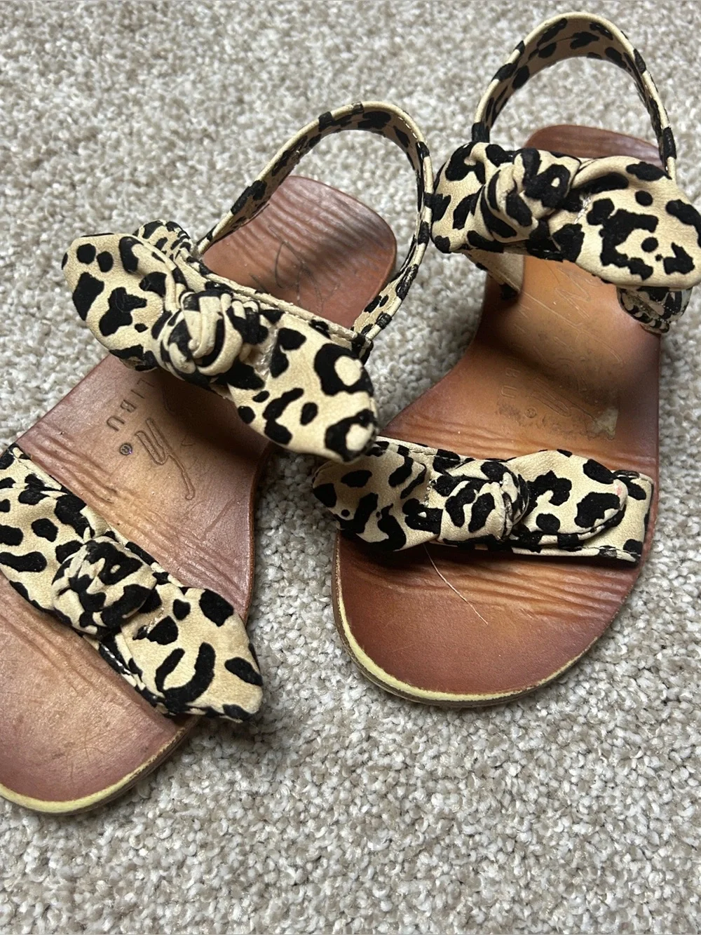 Blowfish leopard print
